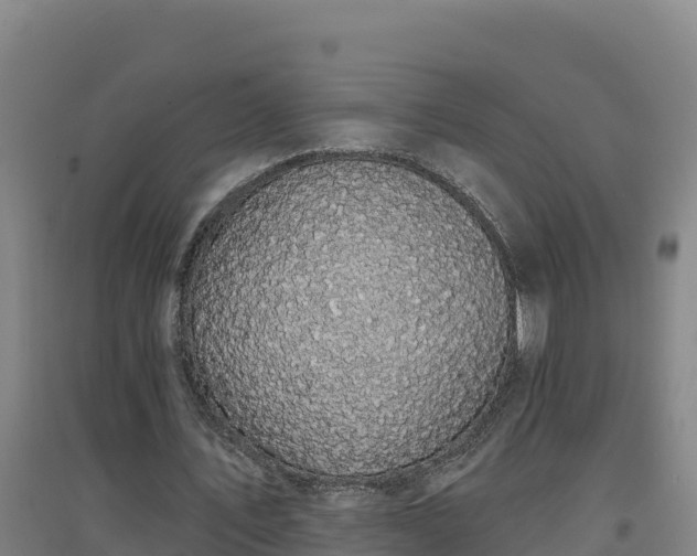 X0000096720579200802121250