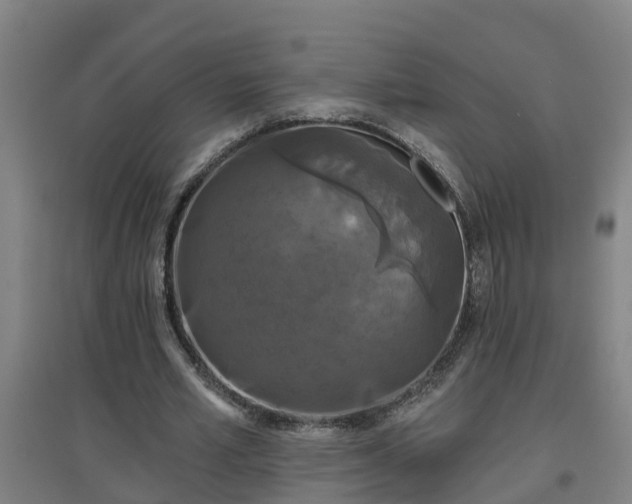 X0000096720581200802121250