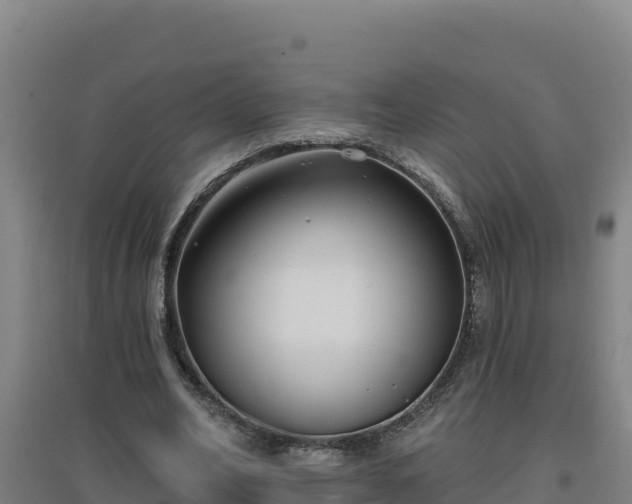 X0000096720582200802121250