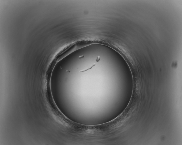 X0000096720584200802121250