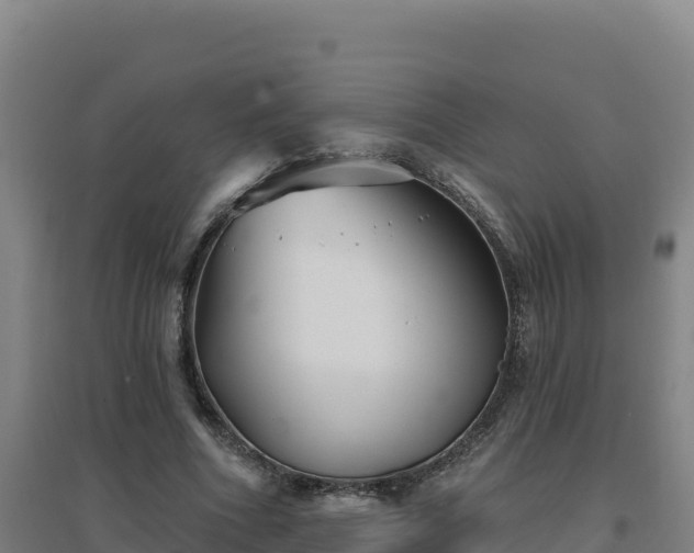 X0000096720586200802121250