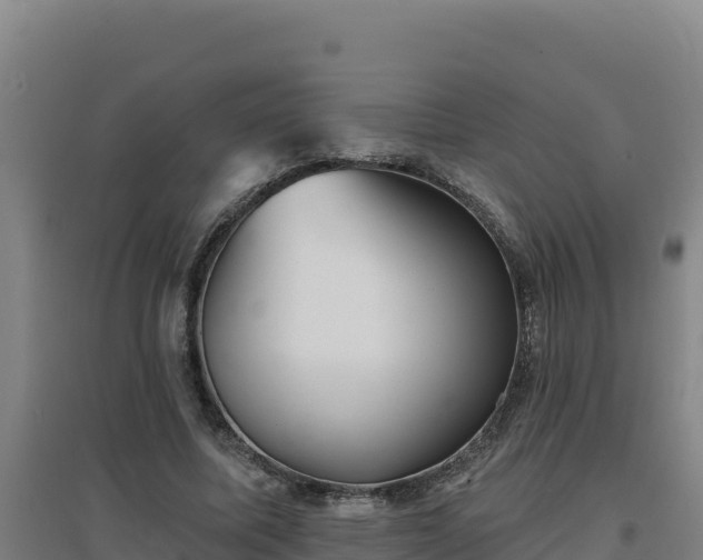 X0000096720587200802121250