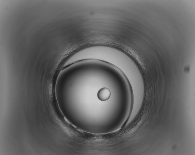 X0000096720589200802121250