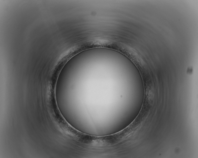 X0000096720591200802121250