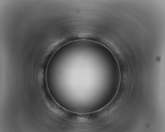 X0000096720592200802121250