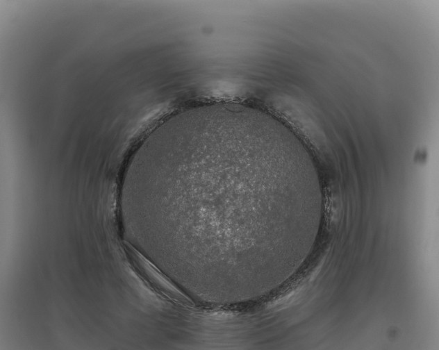 X0000096720593200802121250