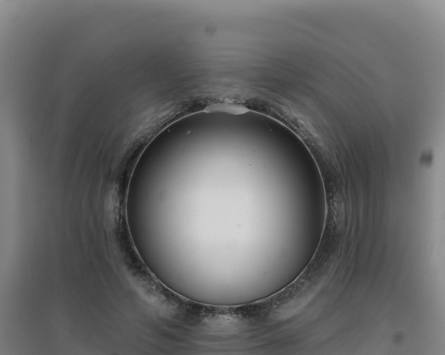 X0000096720594200802121250