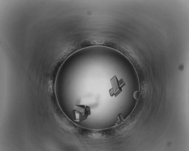X0000096720598200802121250