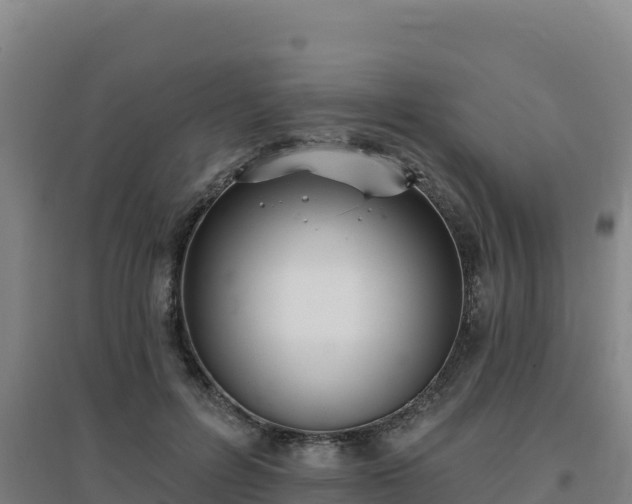 X0000096720600200802121250
