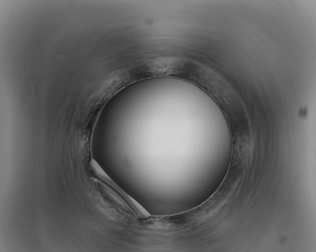 X0000096720601200802121250