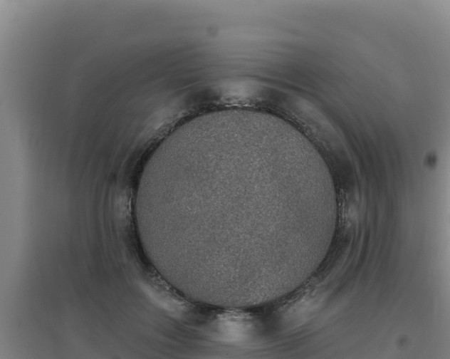 X0000096720603200802121250