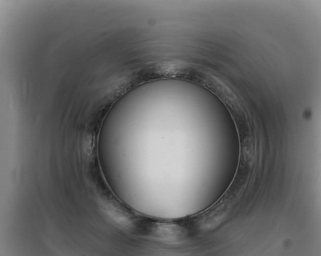 X0000096720605200802121250
