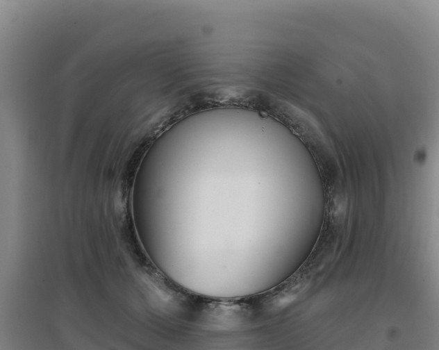 X0000096720607200802121250
