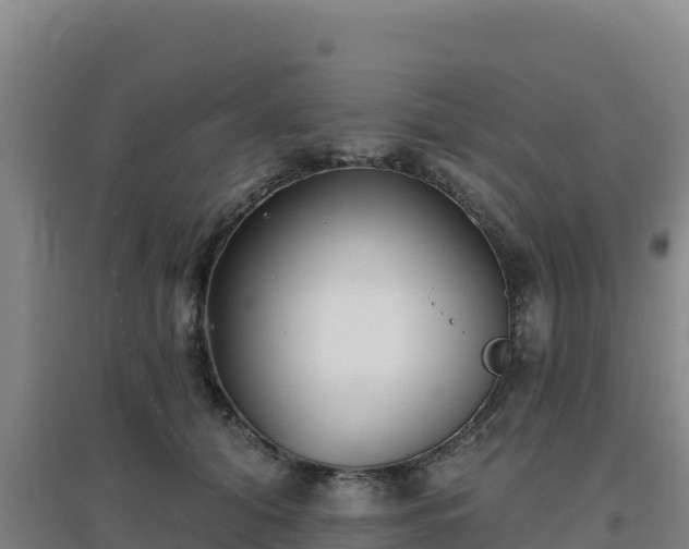 X0000096720608200802121250