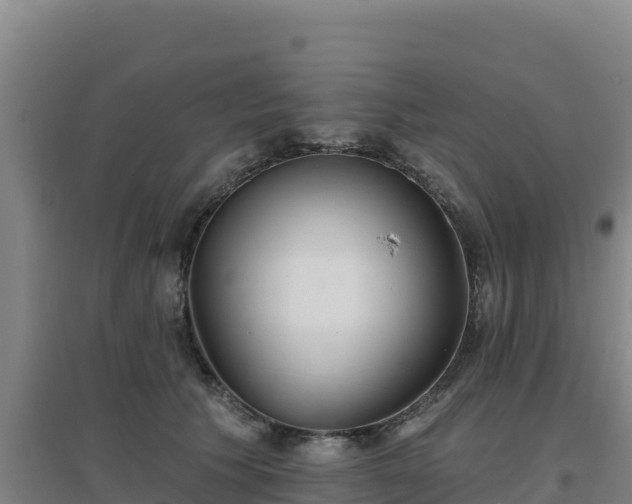 X0000096720609200802121250