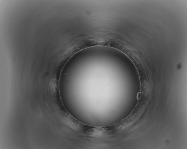 X0000096720612200802121249