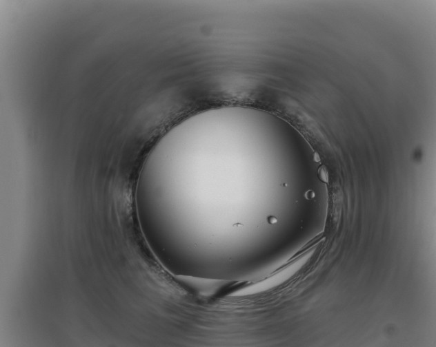 X0000096720613200802121249