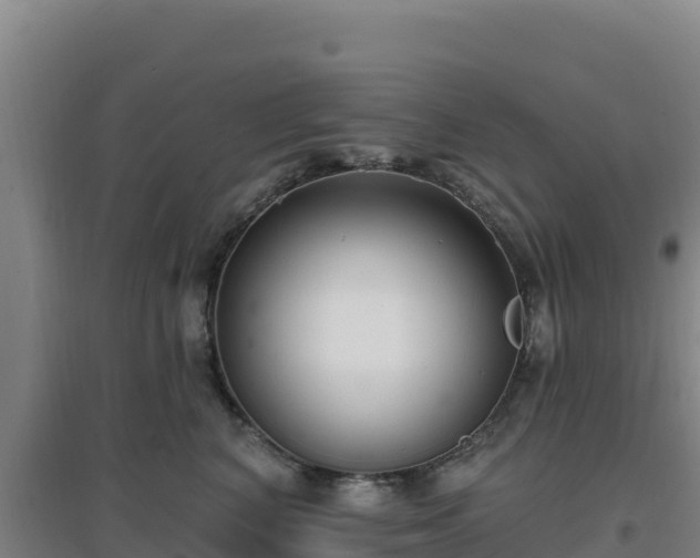 X0000096720616200802121249