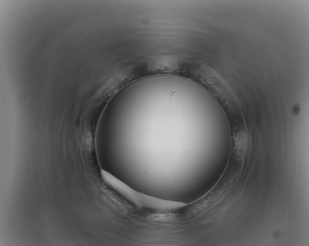 X0000096720617200802121249