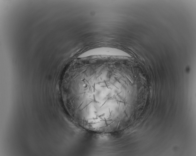 X0000096720618200802121249