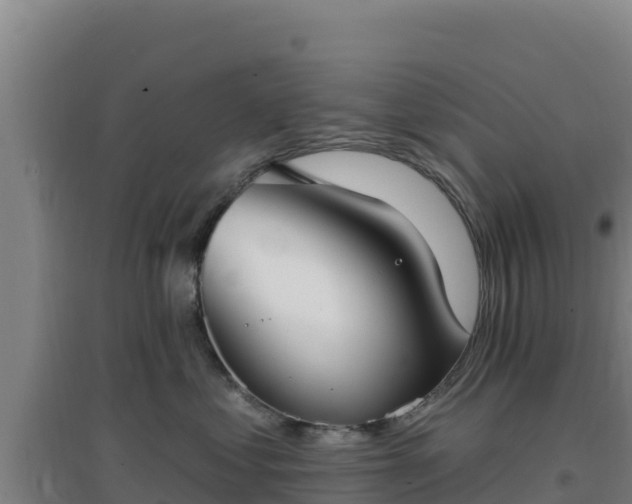 X0000096720621200802121249
