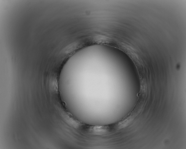 X0000096720622200802121249