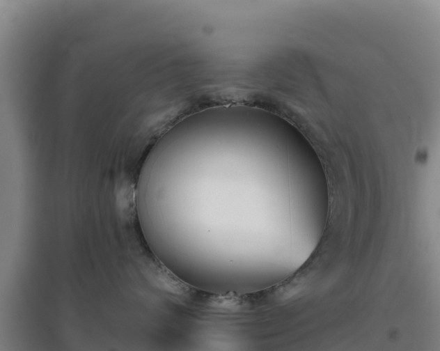 X0000096720624200802121249