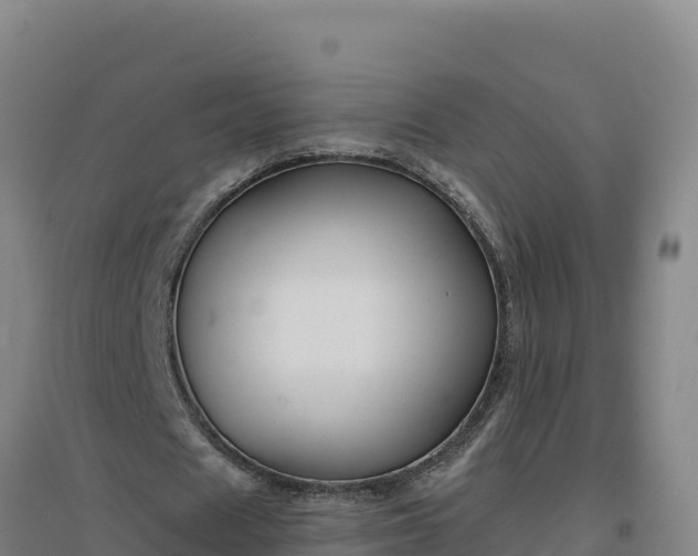 X0000096720625200802121249