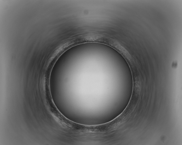 X0000096720626200802121249