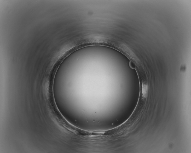X0000096720627200802121249