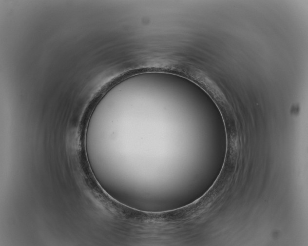 X0000096720628200802121249