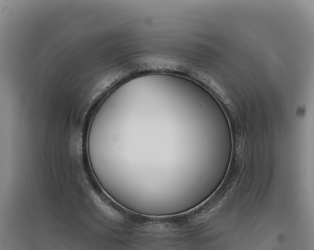 X0000096720629200802121249