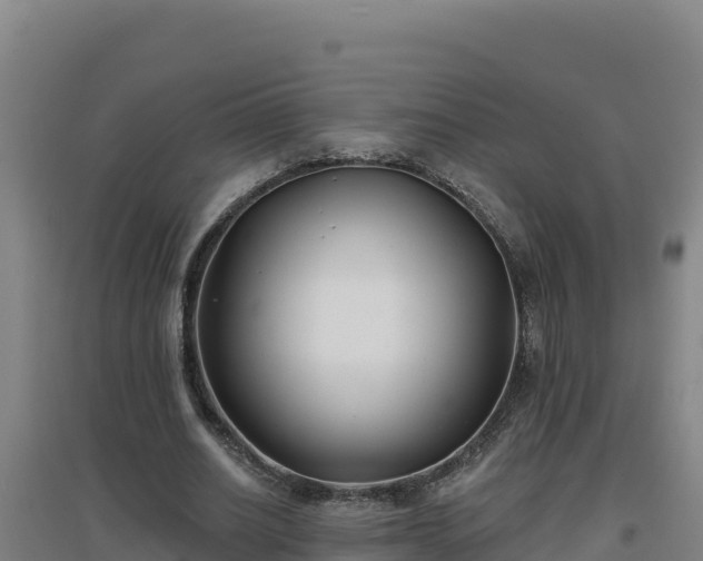 X0000096720630200802121249