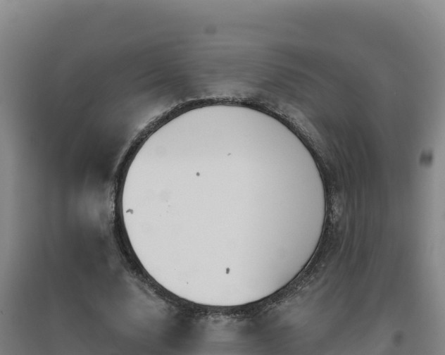 X0000096720632200802121249