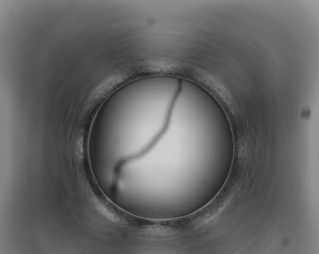 X0000096720633200802121249