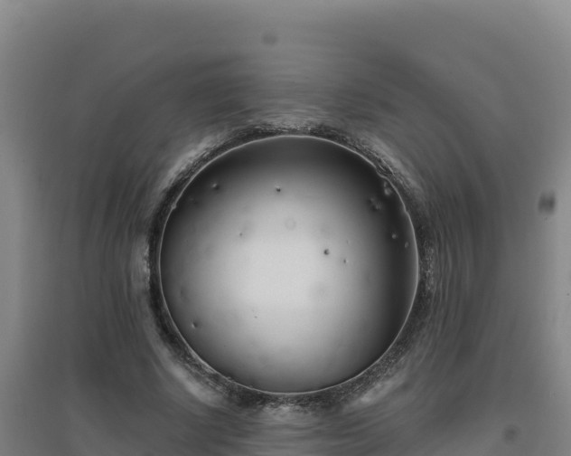 X0000096720634200802121249