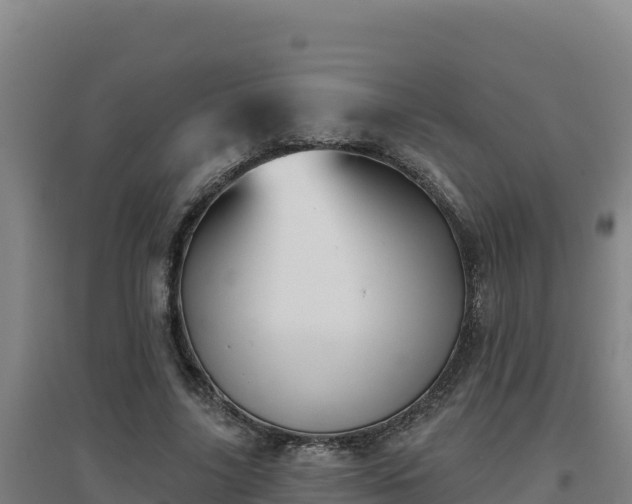 X0000096720635200802121249