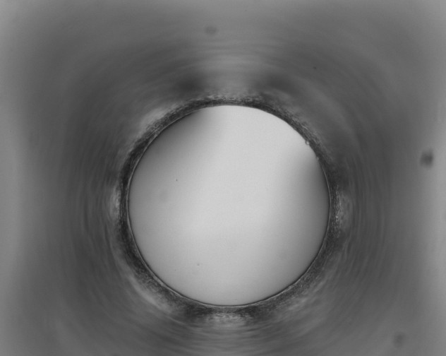 X0000096720636200802121249