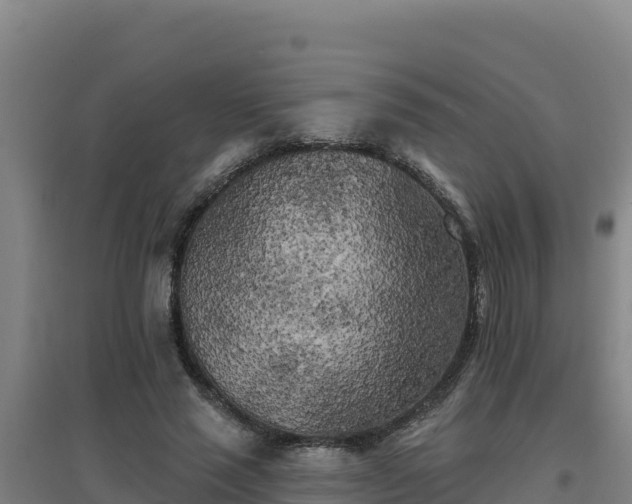 X0000096720637200802121249