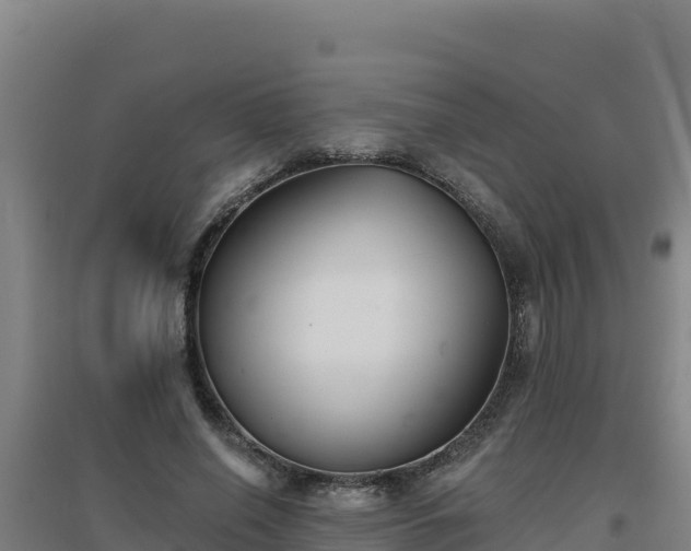 X0000096720638200802121249
