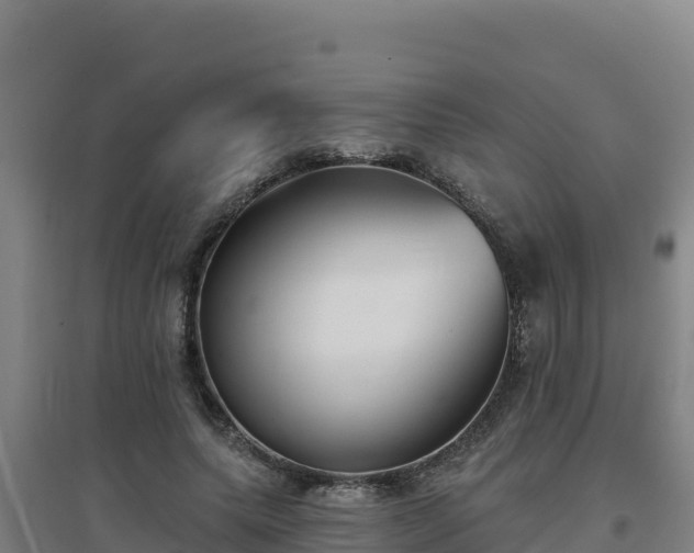 X0000096720639200802121249