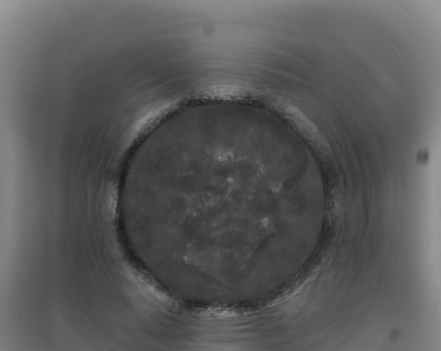 X0000096720640200802121249