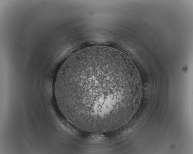 X0000096720642200802121249