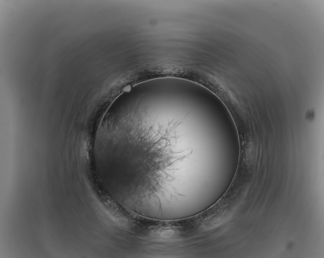 X0000096720643200802121249