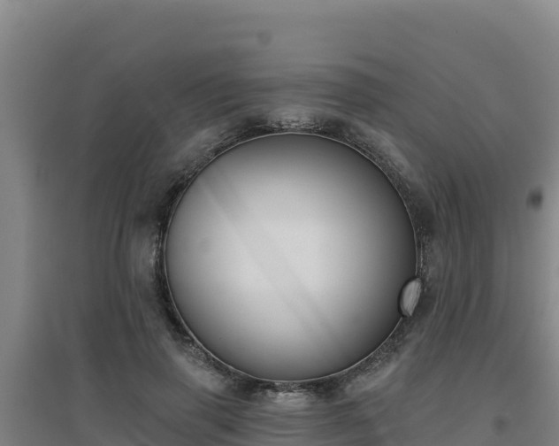 X0000096720645200802121249