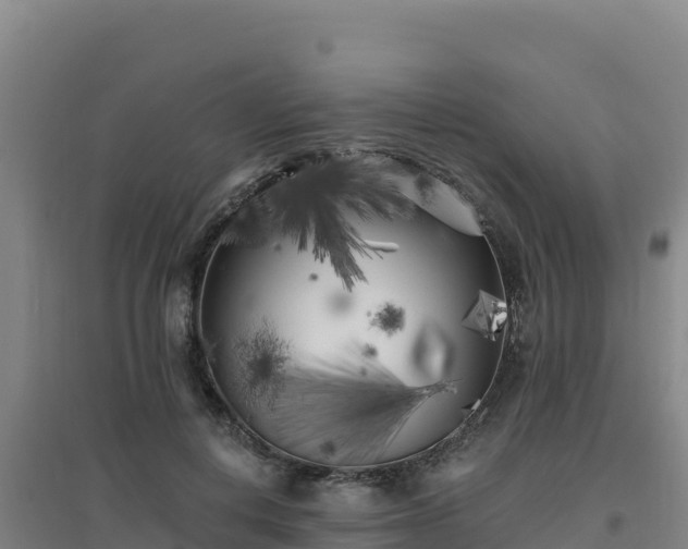 X0000096720648200802121249