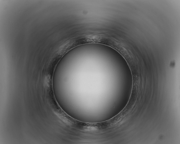 X0000096720649200802121249