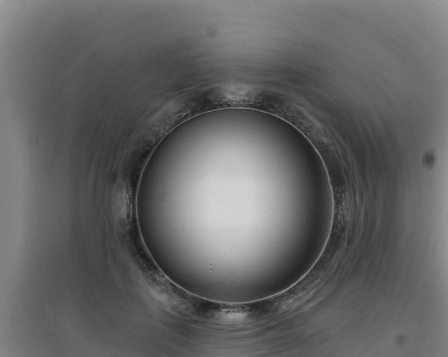 X0000096720651200802121249
