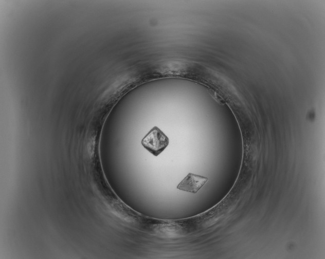 X0000096720652200802121249