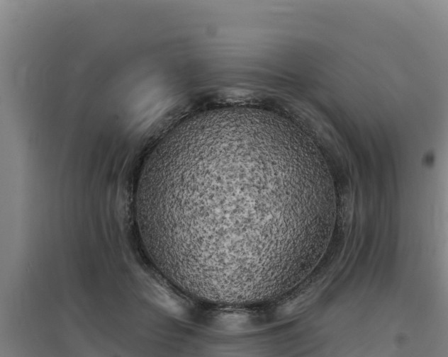 X0000096720653200802121249